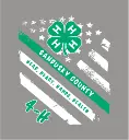 back design.webp