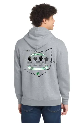 2026 Clover Patch 4-H Club Youth Hoodie